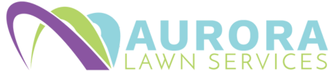aurora-Lawn