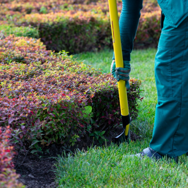a person is working in a garden with a shovel .