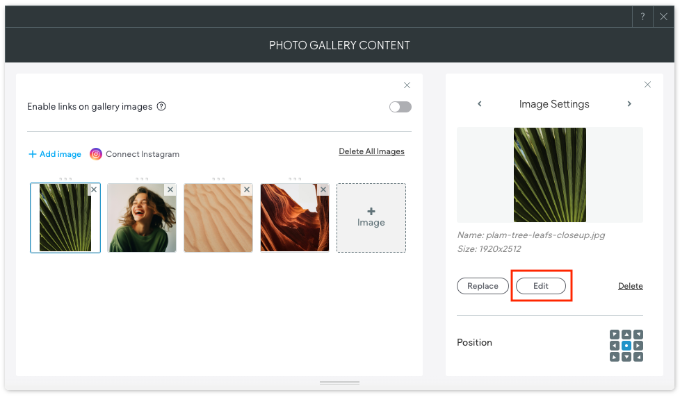 Screenshot of a photo gallery content window. Image settings pane open.