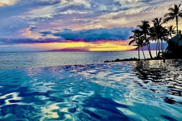 An infinity pool overlooking the ocean with palm trees in the background