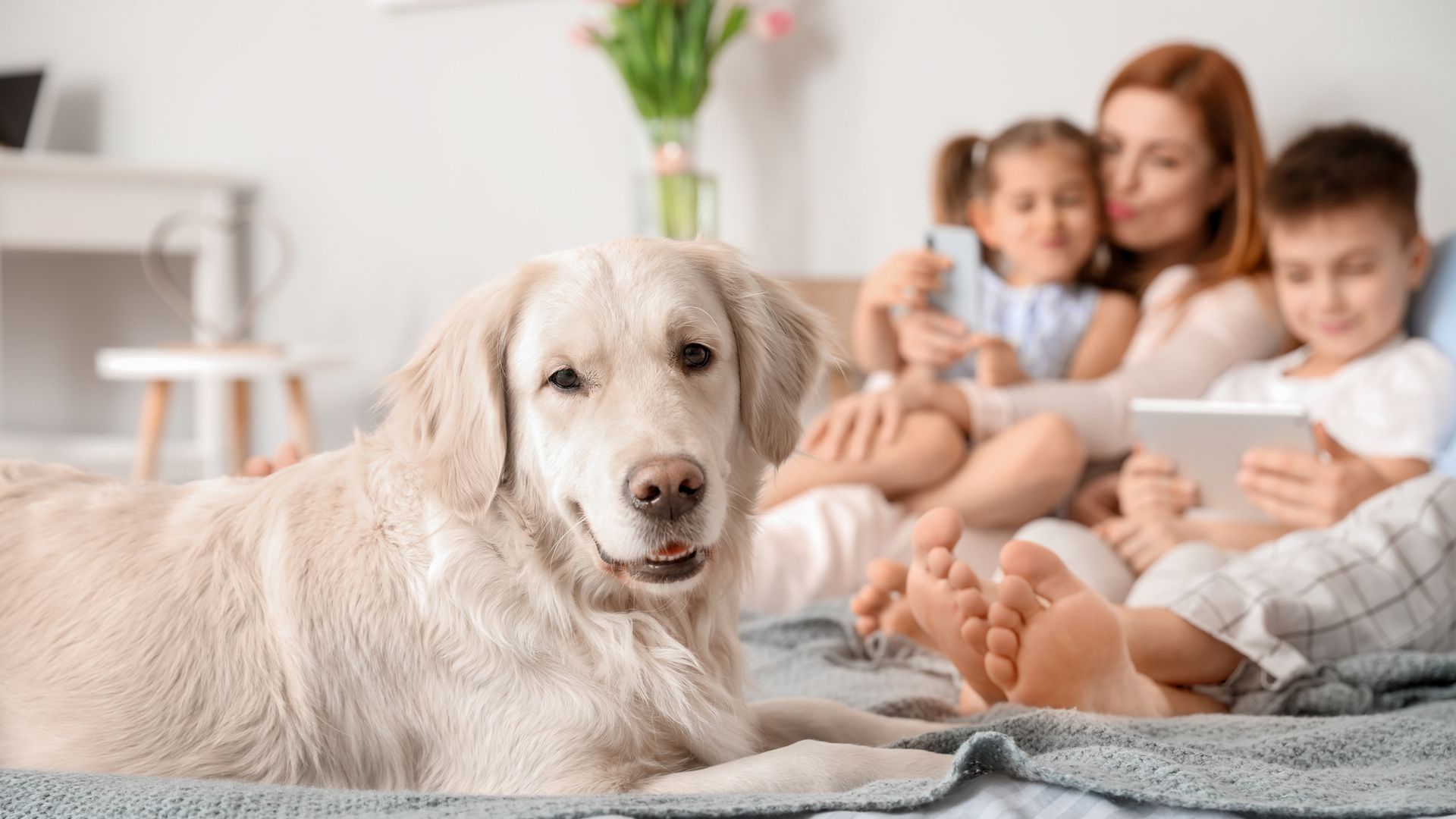 A golden retriever rests on a bed in the foreground while a person and two children relax together in the background.