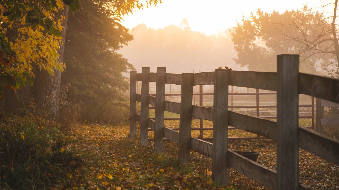 Sunrise over a wooden fence beside a misty country path lined with autumn trees