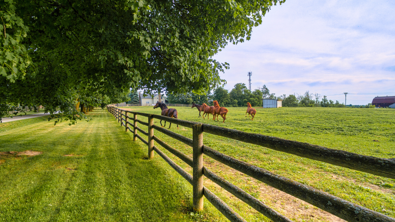 Sunlit pasture with horses near a wooden fence under leafy trees