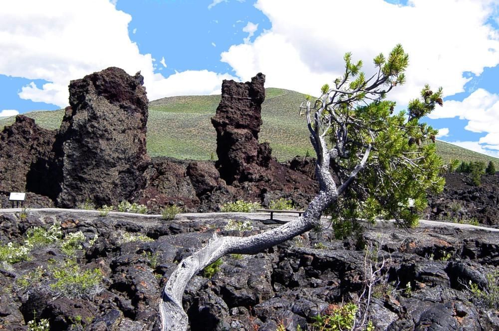 Lava rock formations with a weathered tree in the foreground. Green hillside and blue sky with clouds in the background.