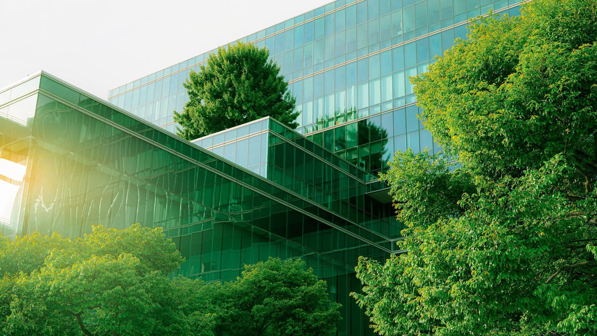 De opkomst van ESG Due Diligence in de vastgoedsector