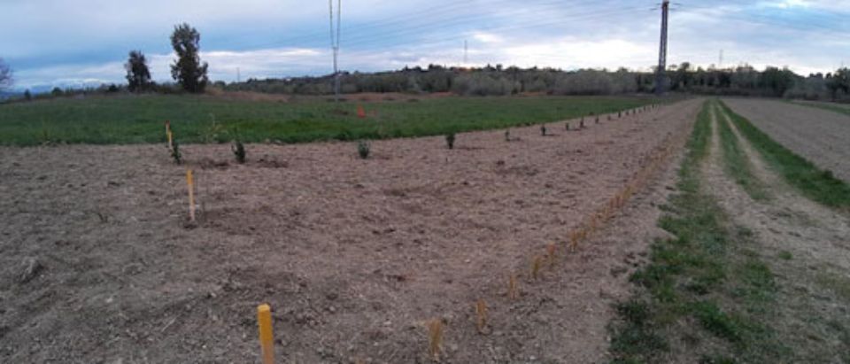 Terreno per bonifica falde acquifere