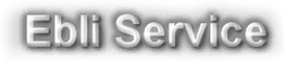 EBLI SERVICE sas - LOGO