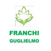 Franchi Guglielmo logo