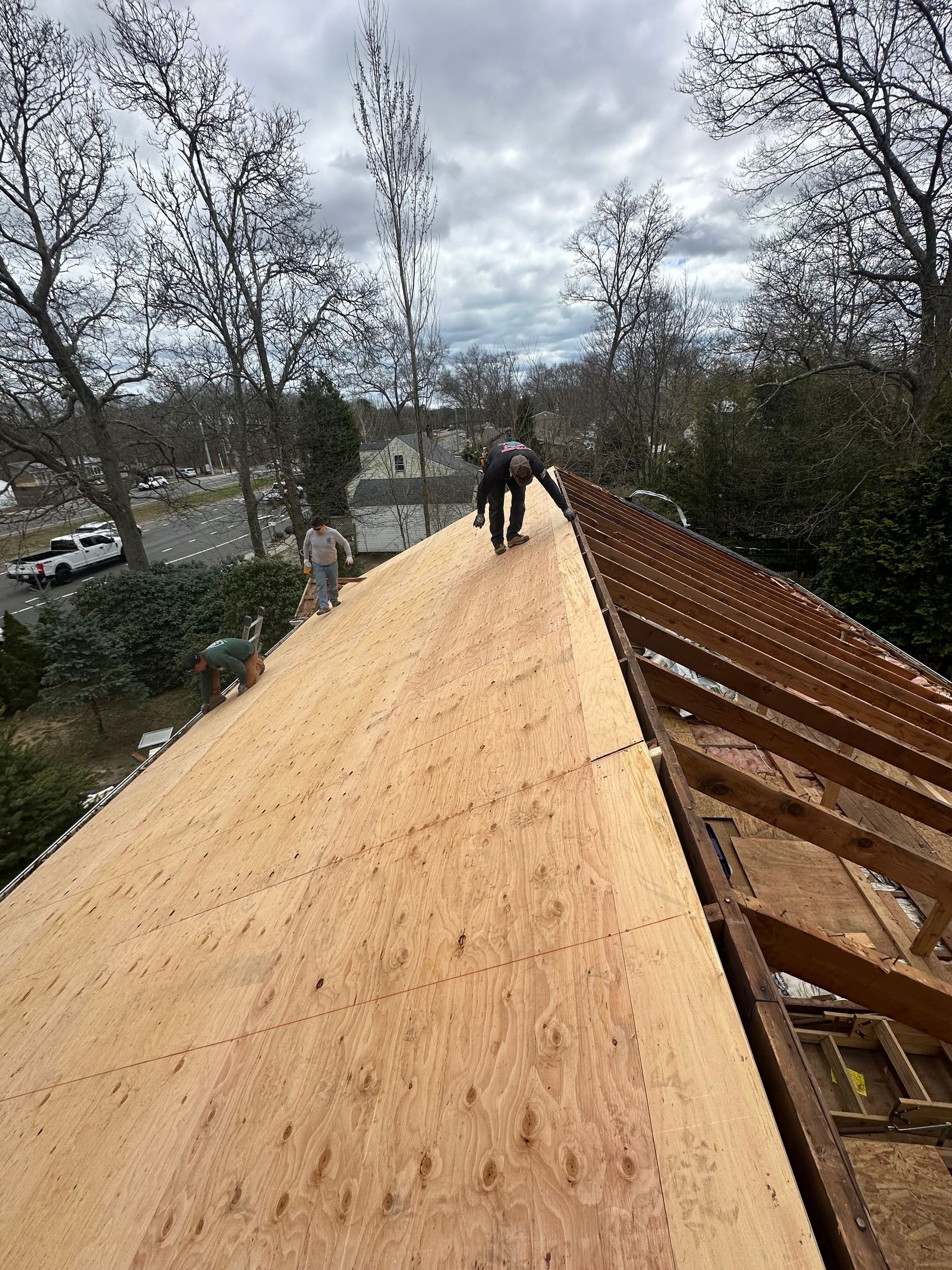 Workers installing plywood sheathing on a rooftop. Trees and houses in the background under a cloudy sky.