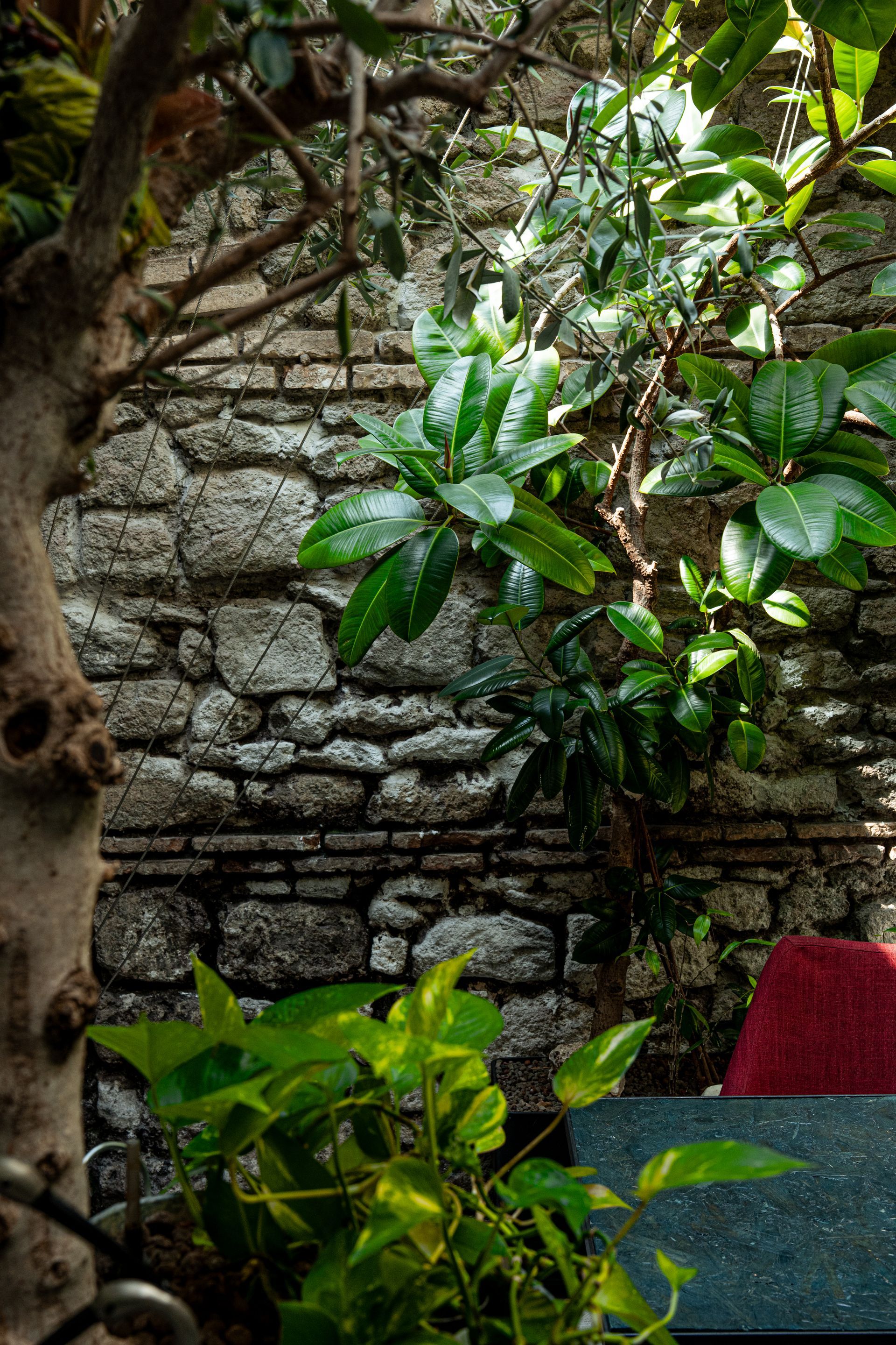 interno ristorante moderno a Grottaferrata Altro cucina e cocktail
