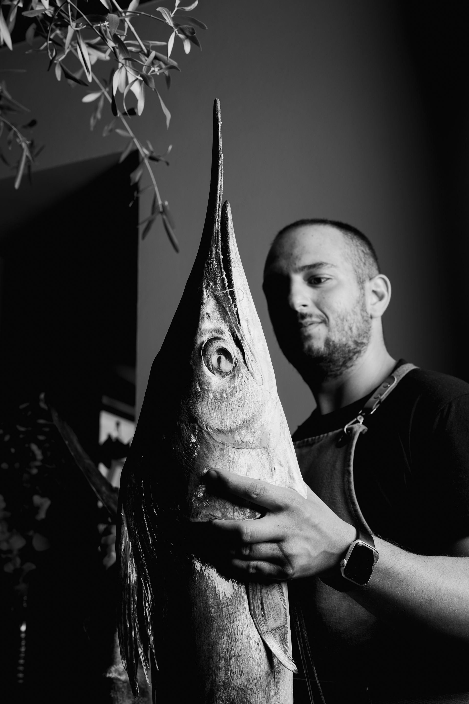 materia prima per preparazioni di pesce altro grottaferrata 