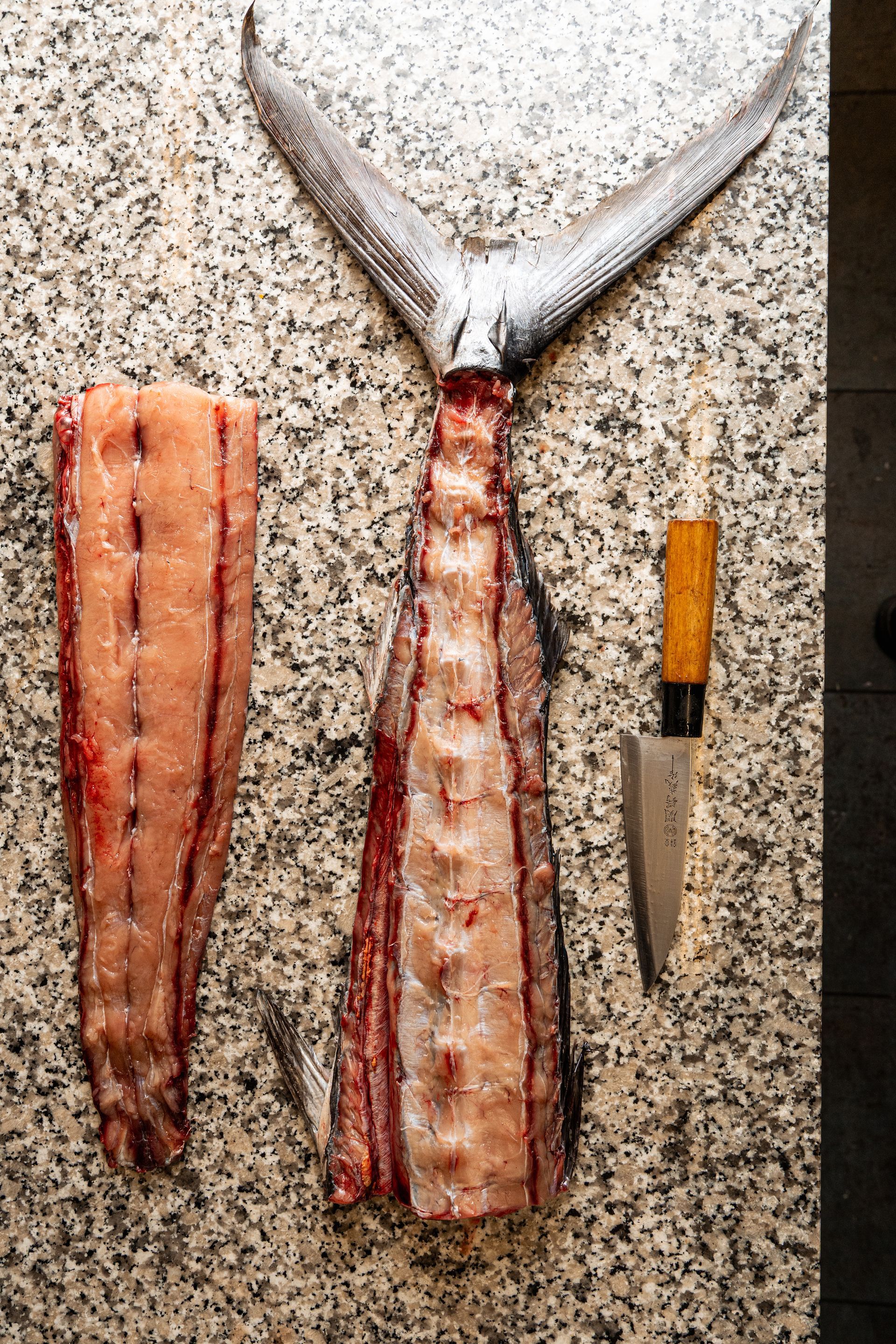 materia prima di pesce per piatti creativi ristorante grottaferrata