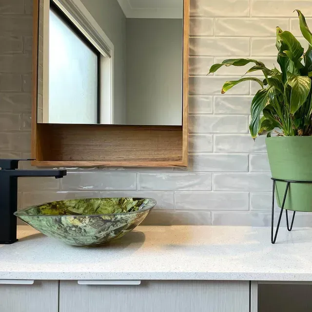 A Bathroom With a Sink and a Potted Plant — Evoke Building Group In Geelong, VIC