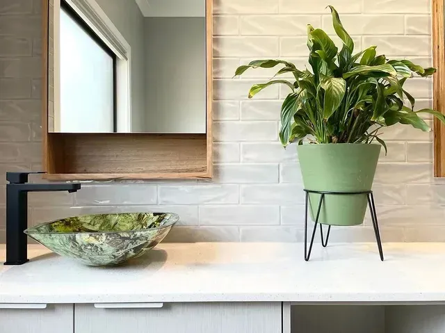 A Bathroom With a Sink , Mirror , and Potted Plant — Evoke Building Group In Daylesford, VIC