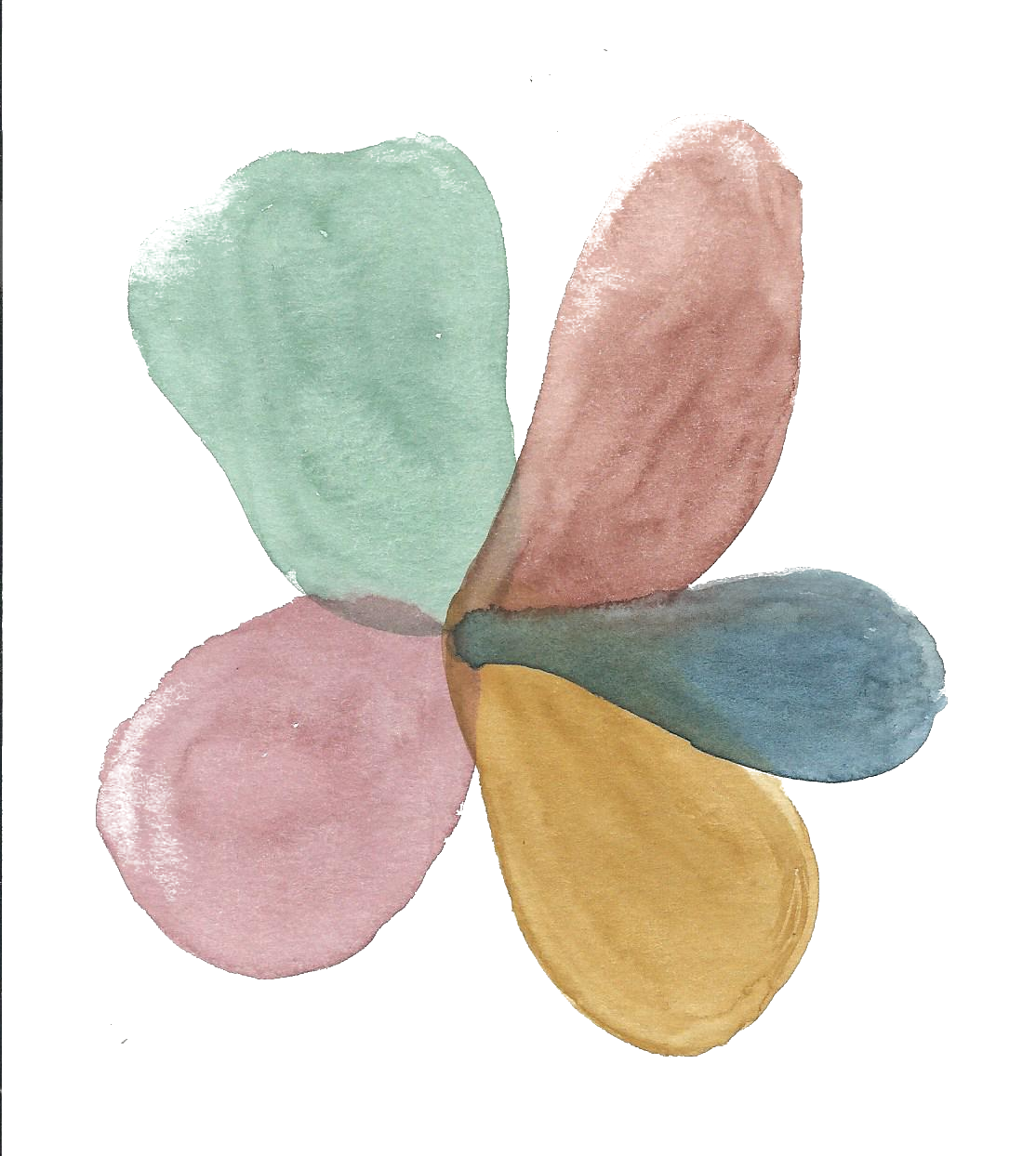 Five pastel watercolor petals arranged like a flower on a white background.
