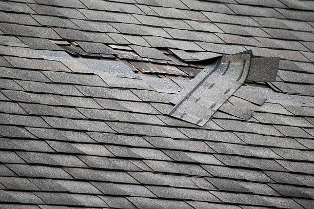 Damaged asphalt shingle roof, with missing and broken shingles; gray.