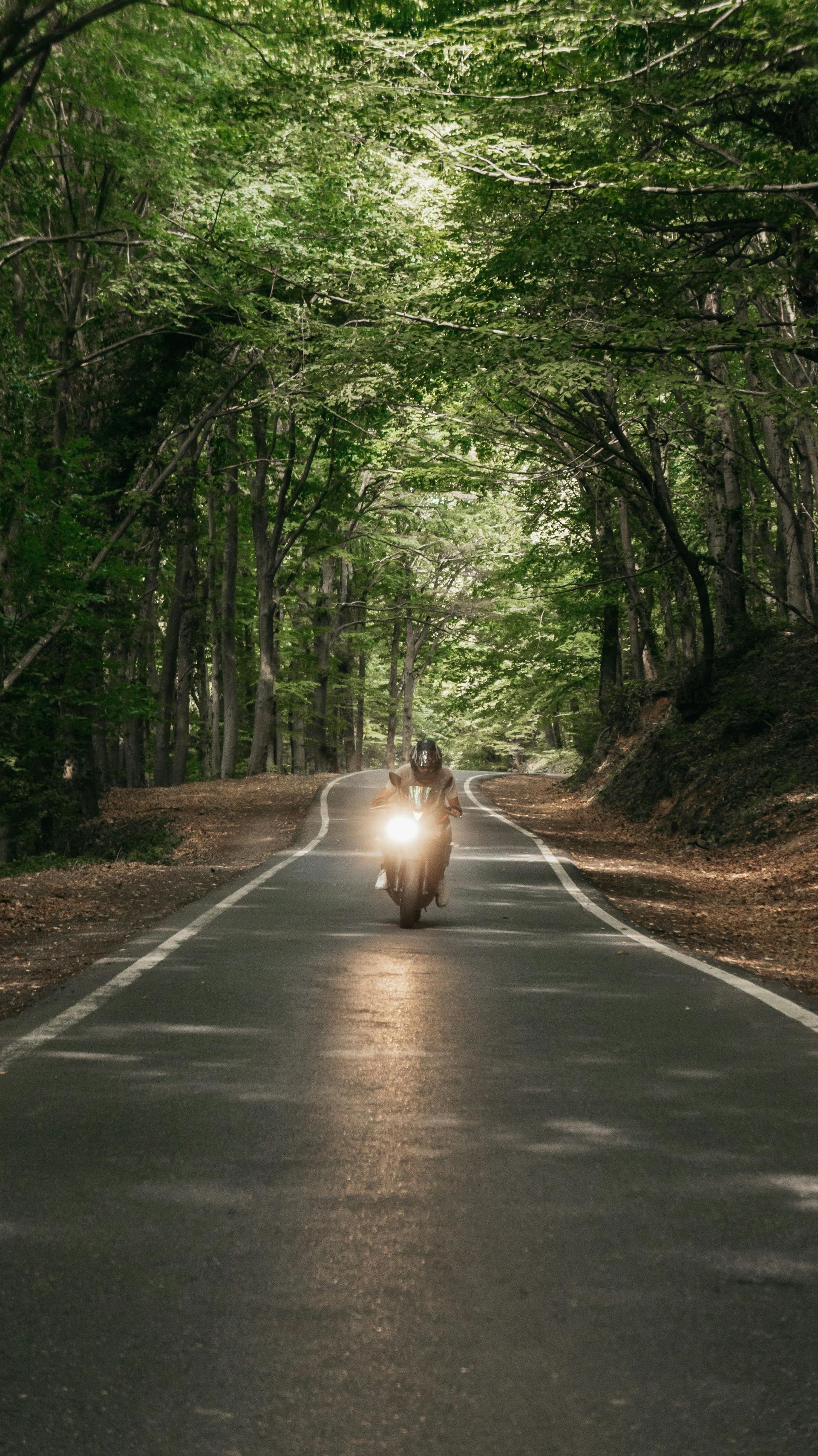 Motorbike with bright headlight riding down a tree-lined road tunnel