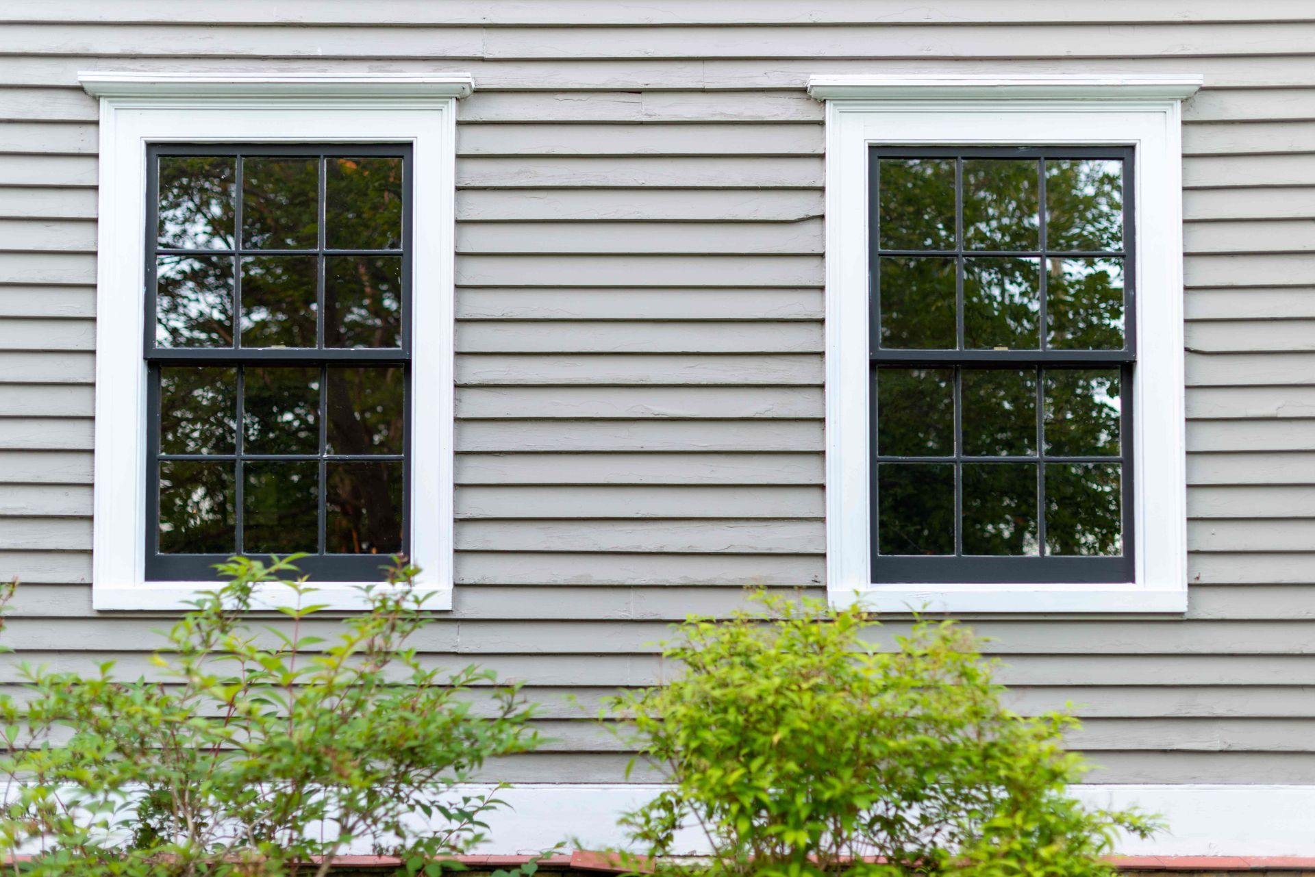 Two double-hung windows on the exterior of a residential home with green shrubbery below  near Tustin, CA