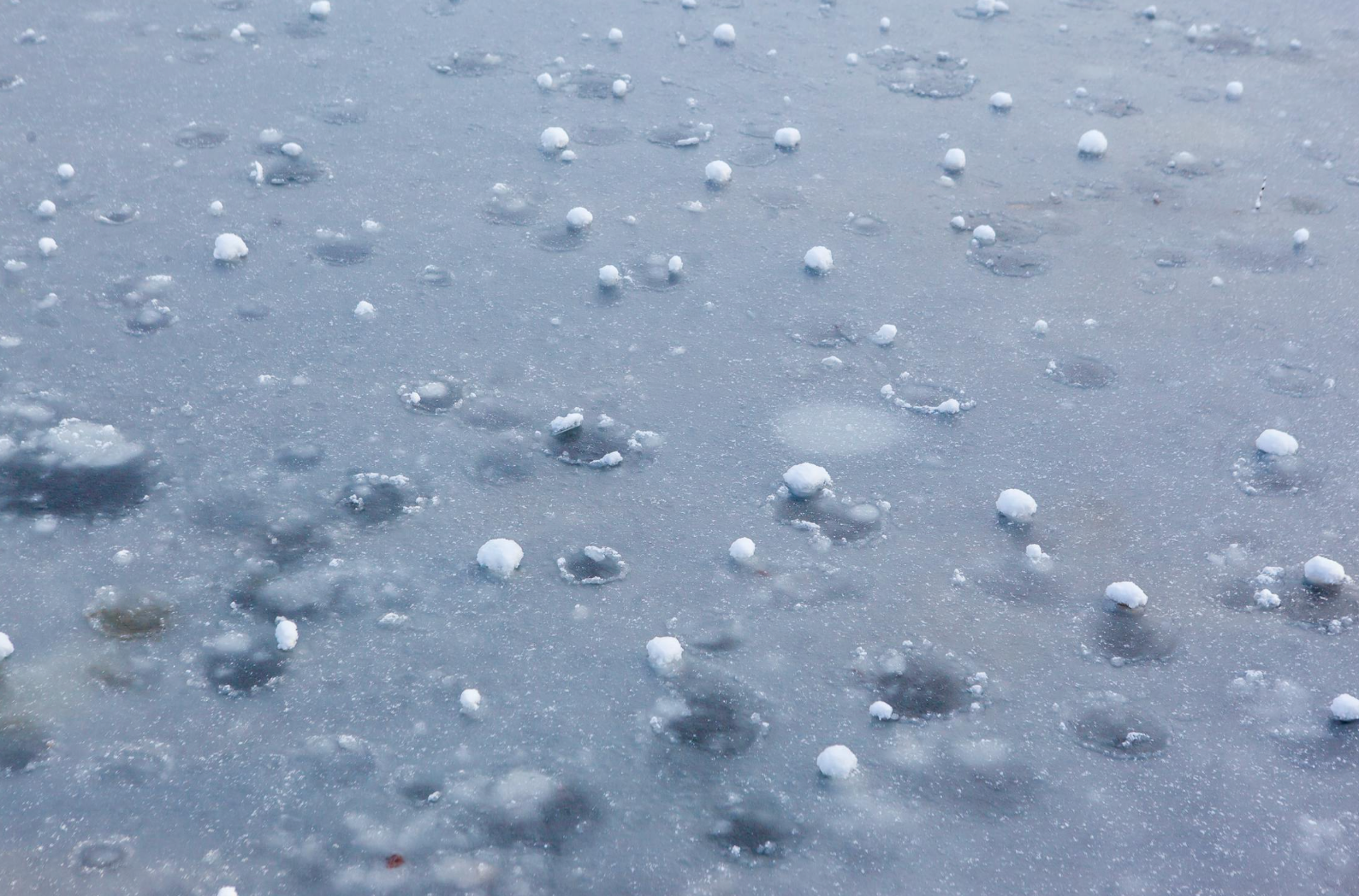 A frozen surface dotted with small, white, round mounds, possibly hailstones. Blue-gray tones dominate the icy landscape.
