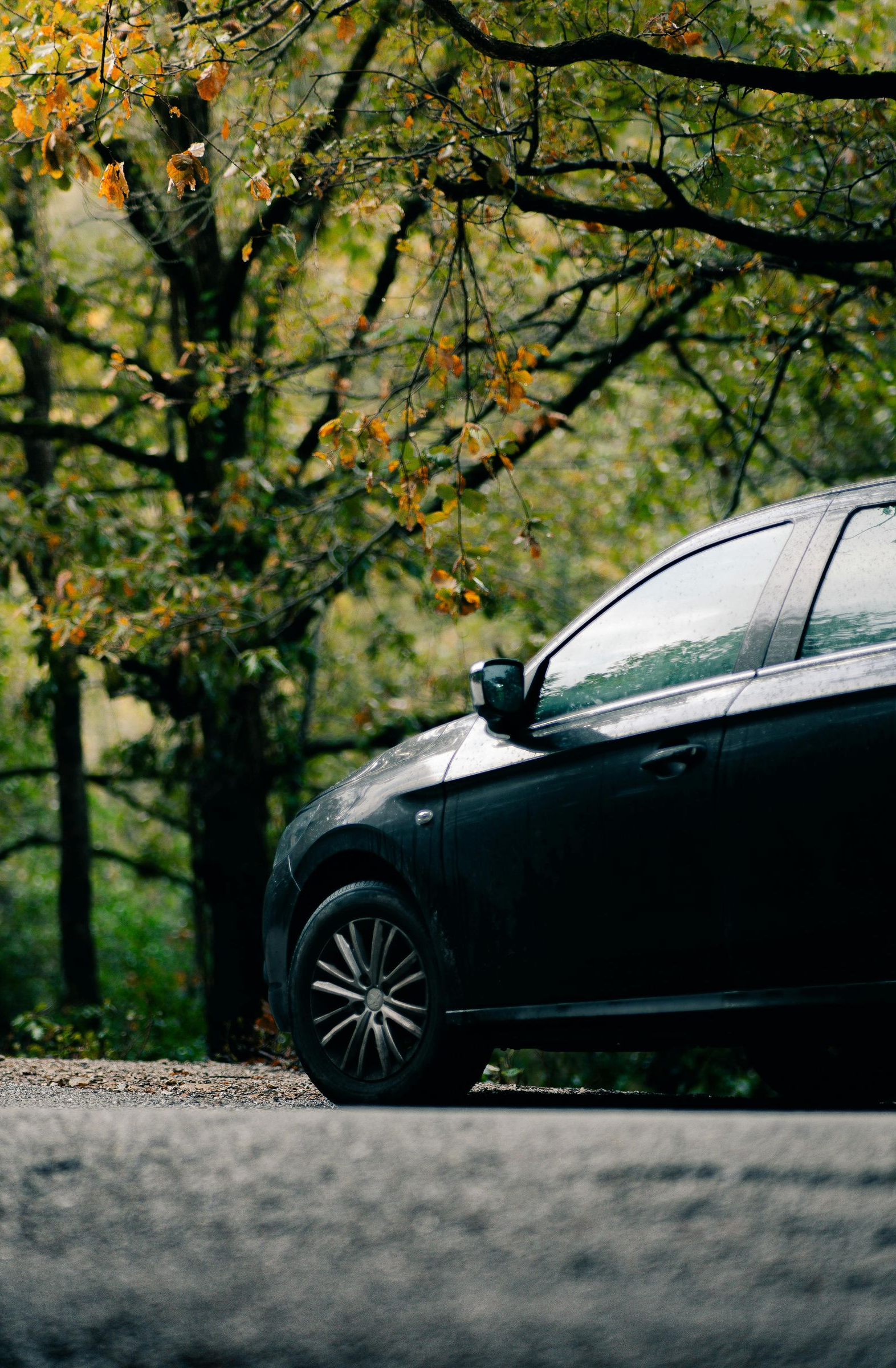 A dark car parked on the side of a road in front of trees with autumn foliage.