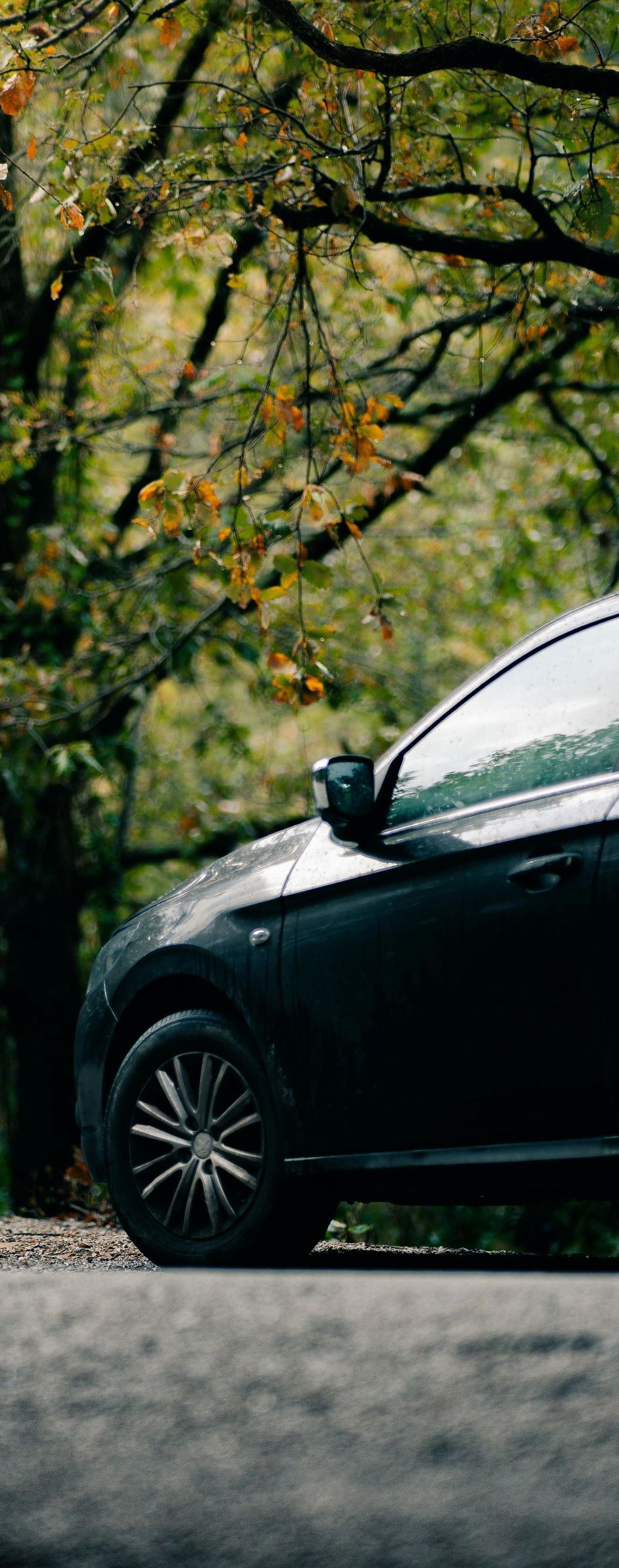 Black car parked on a tree-lined street in autumn, with colorful foliage overhead.