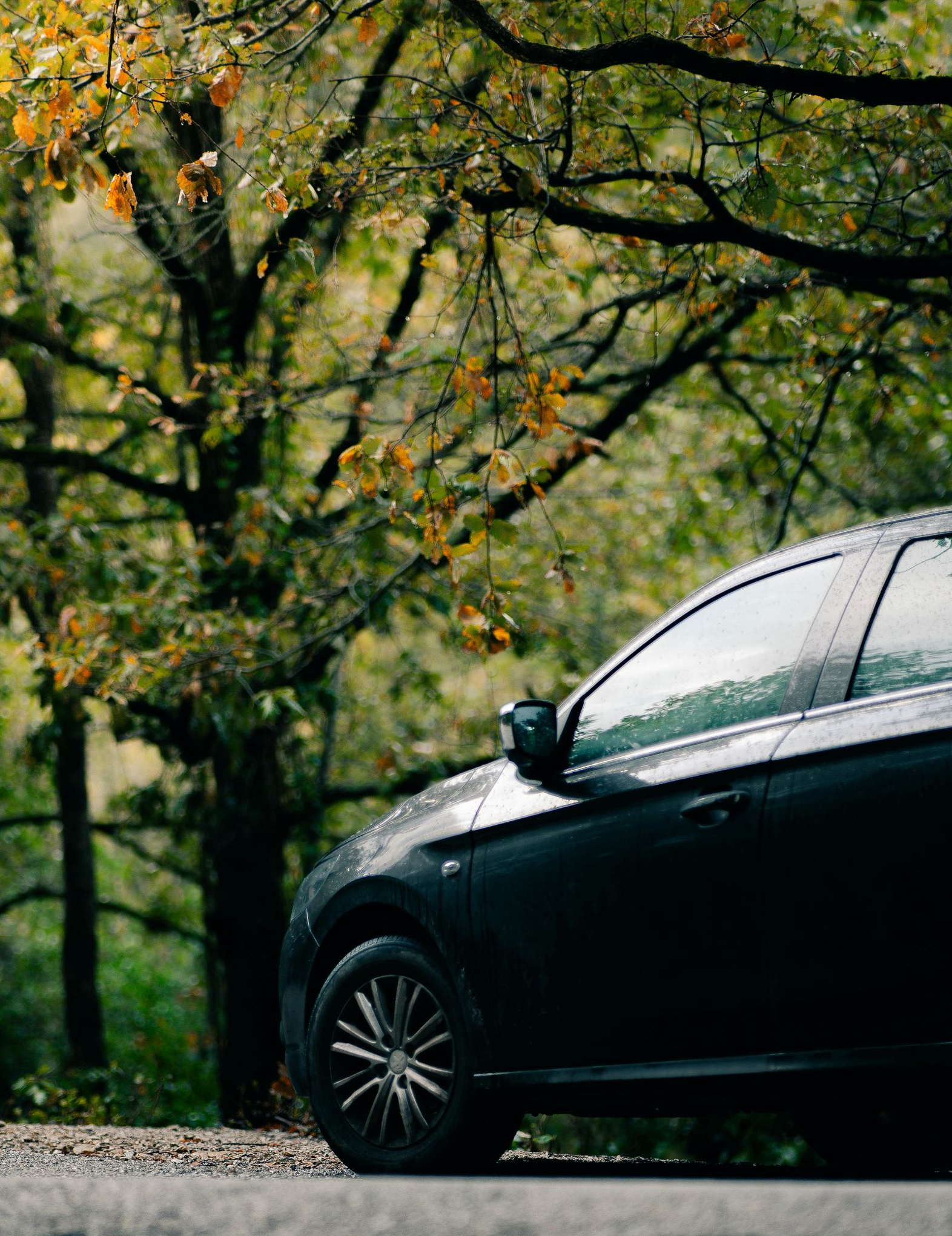A dark car parked on the side of a road in front of trees with autumn foliage.