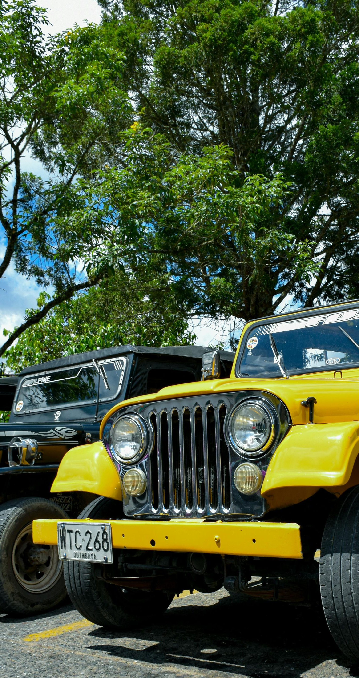 Yellow and black Jeep vehicles parked under trees on a sunny day