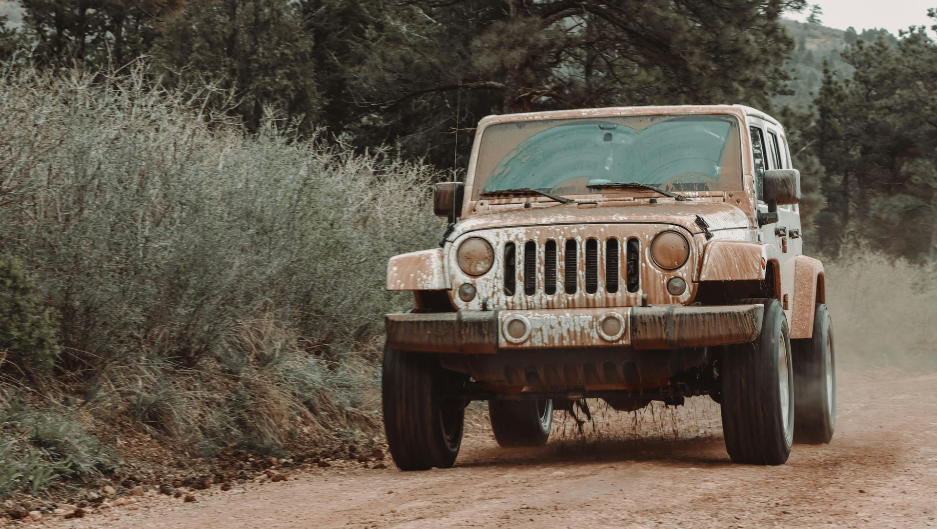 Mud-covered Jeep driving on a dirt road beside dense brush