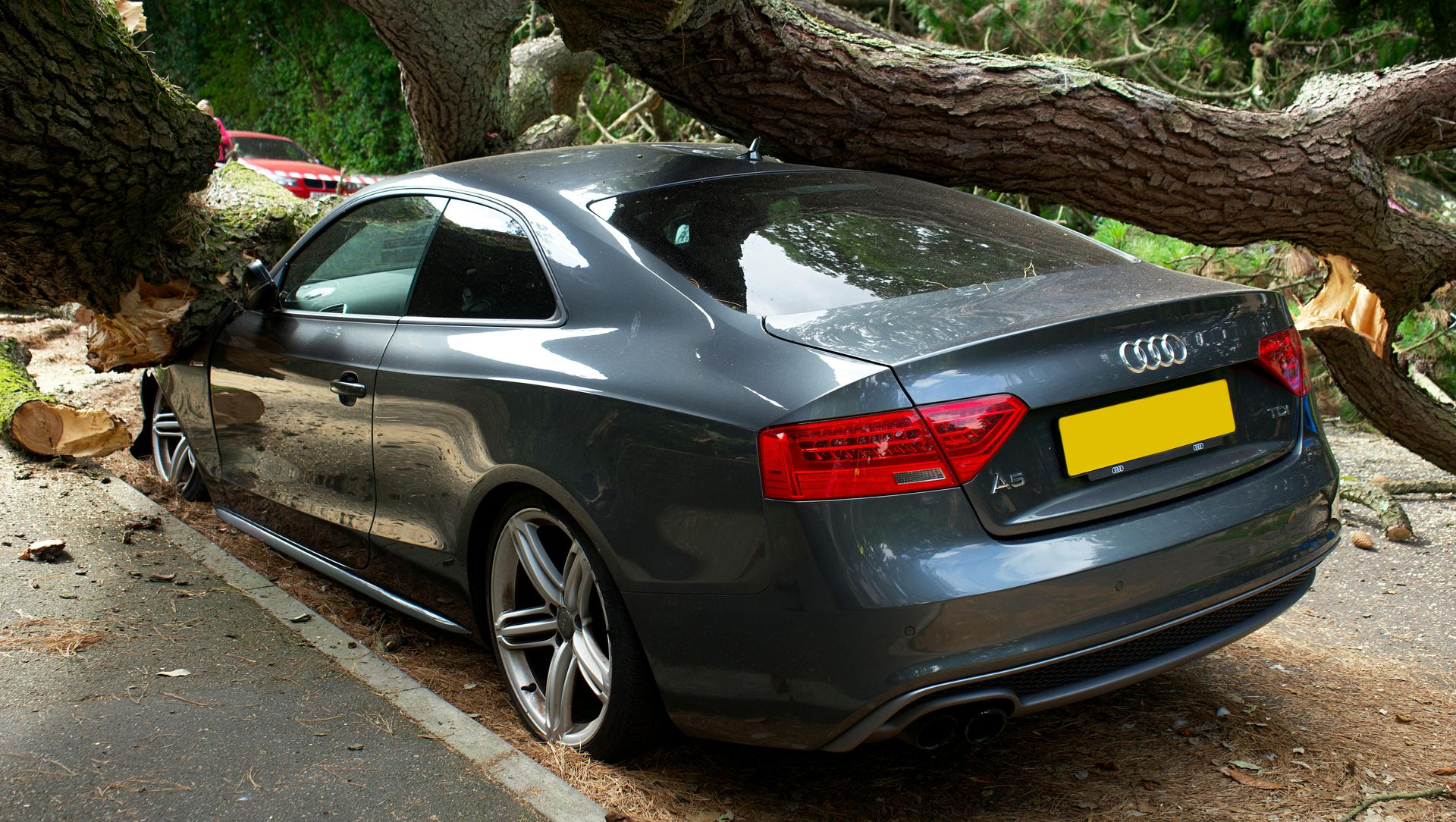 A gray Audi coupe parked on a street is crushed underneath a large, fallen tree.