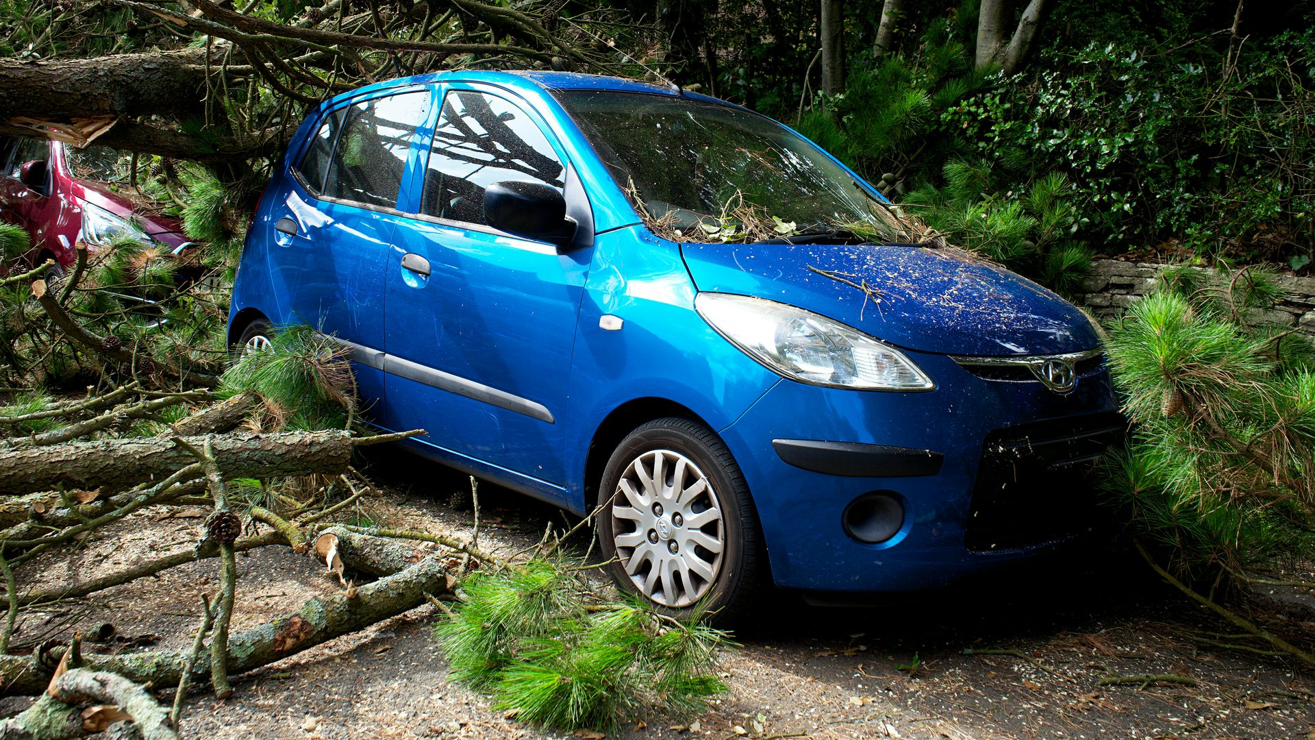 Blue car crushed by fallen tree branches on a road.