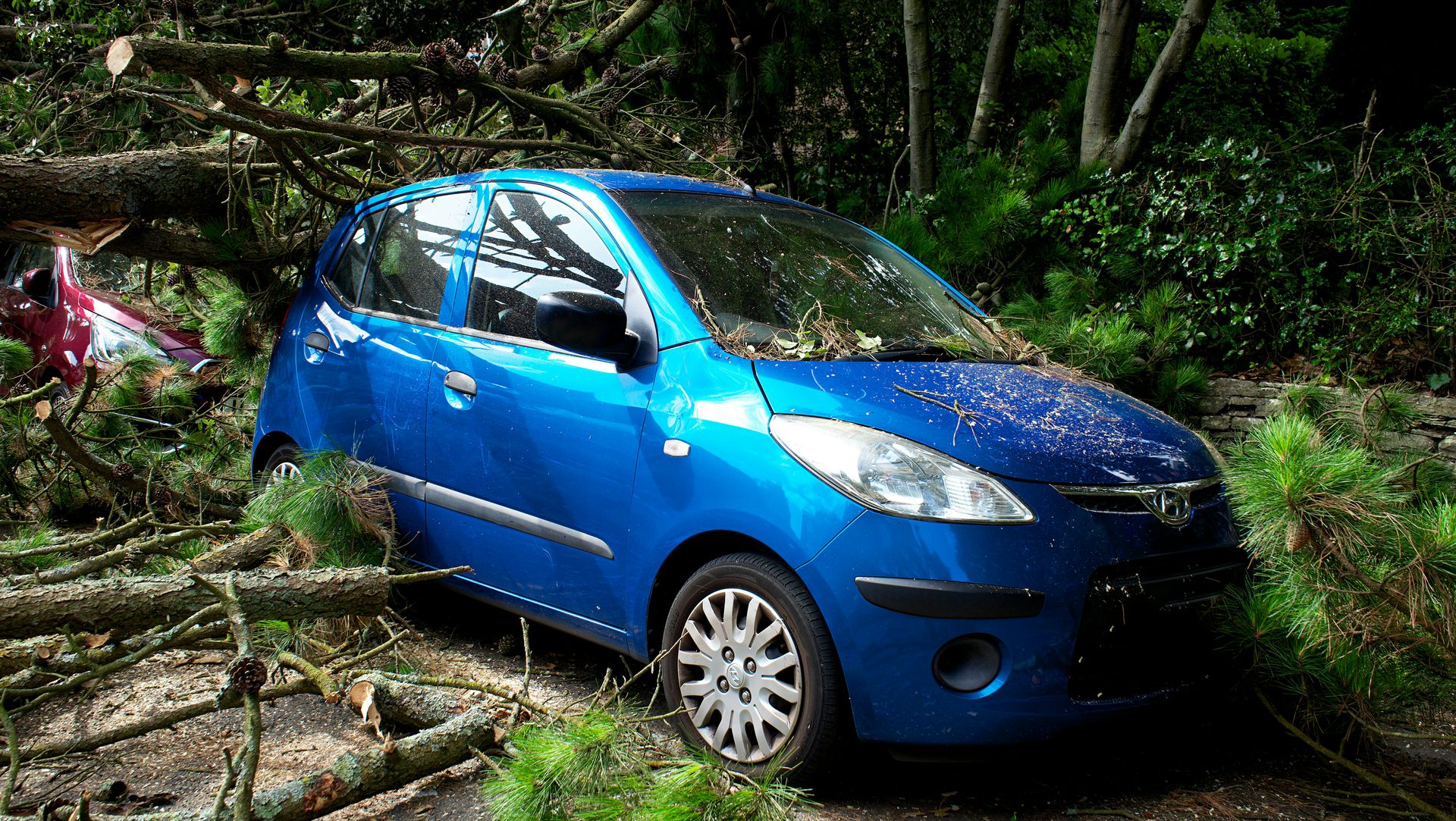 A bright blue car sits amidst fallen tree branches in a wooded area after a storm.