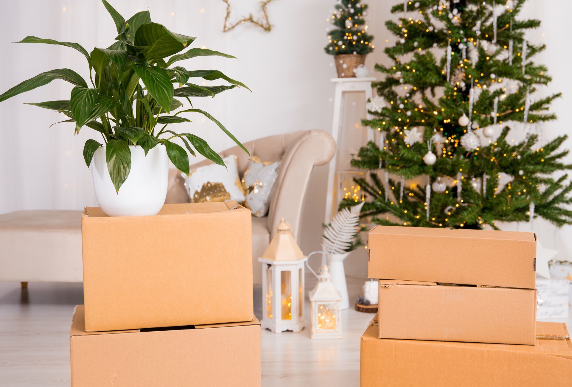 Cardboard boxes stacked near a Christmas tree and houseplant in a room, suggesting moving or storage.