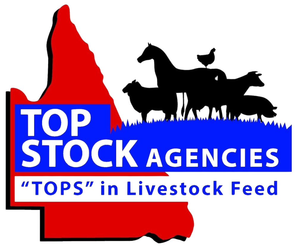 Expert Livestock Management in the Tablelands