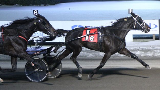 Michael Swan Racing ‘SWAN’ DISPLAYS HIGH SPEED, TAKES BIG M FEATURE
