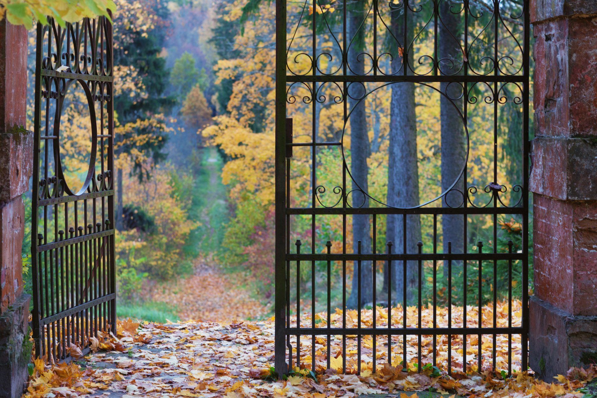 wrought iron gate in Boston, MA during the fall