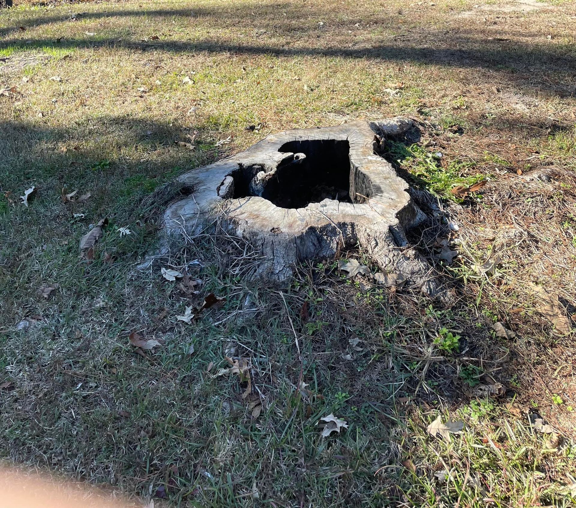 Small stone-covered hole or pit in a grassy park area, with sunlight and tree shadows.