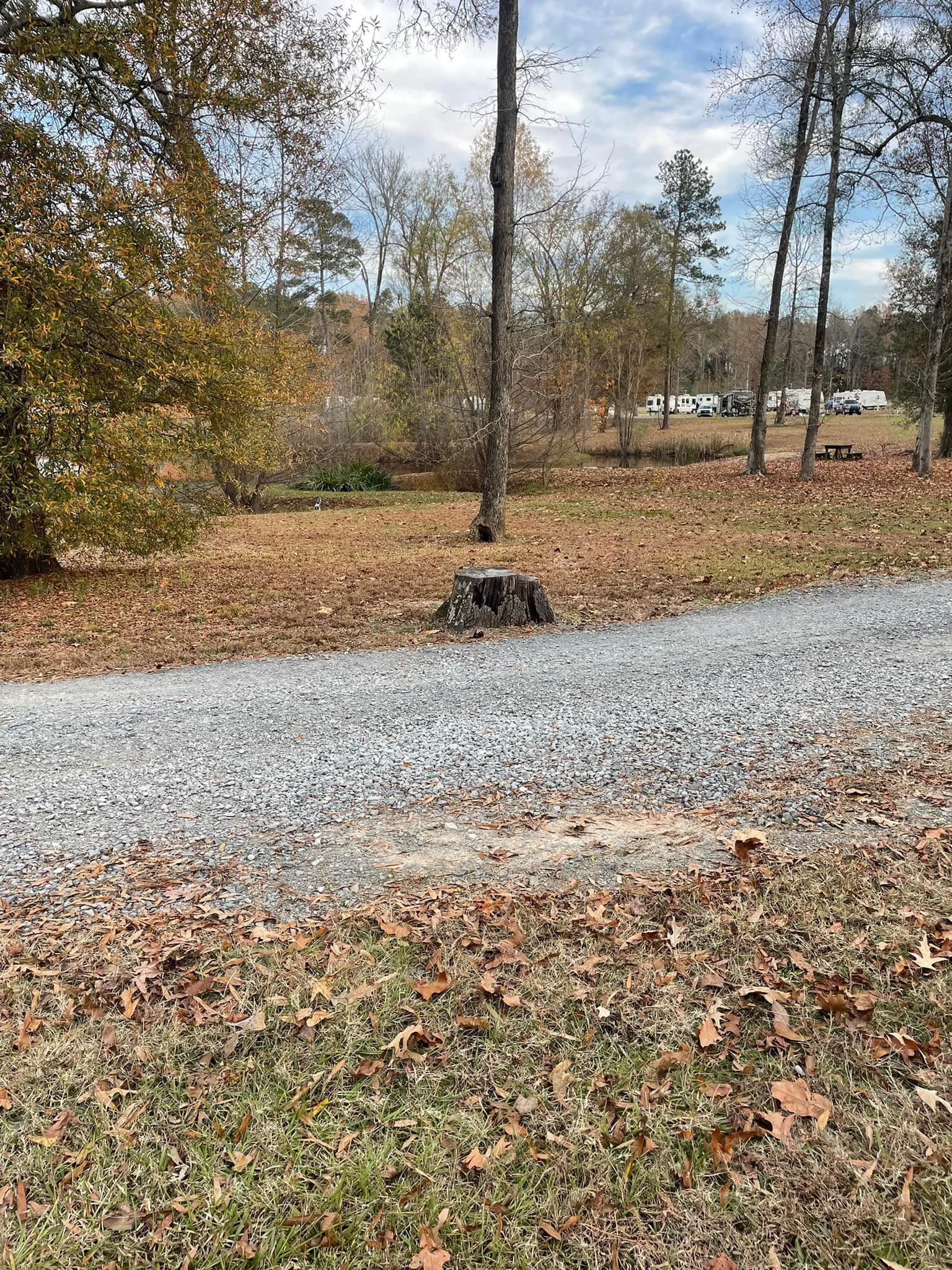 Gravel road through a wooded area with autumn leaves and a small black dog near the center