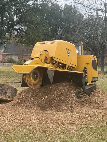 Yellow wood chipper blowing a large pile of wood chips outdoors under trees