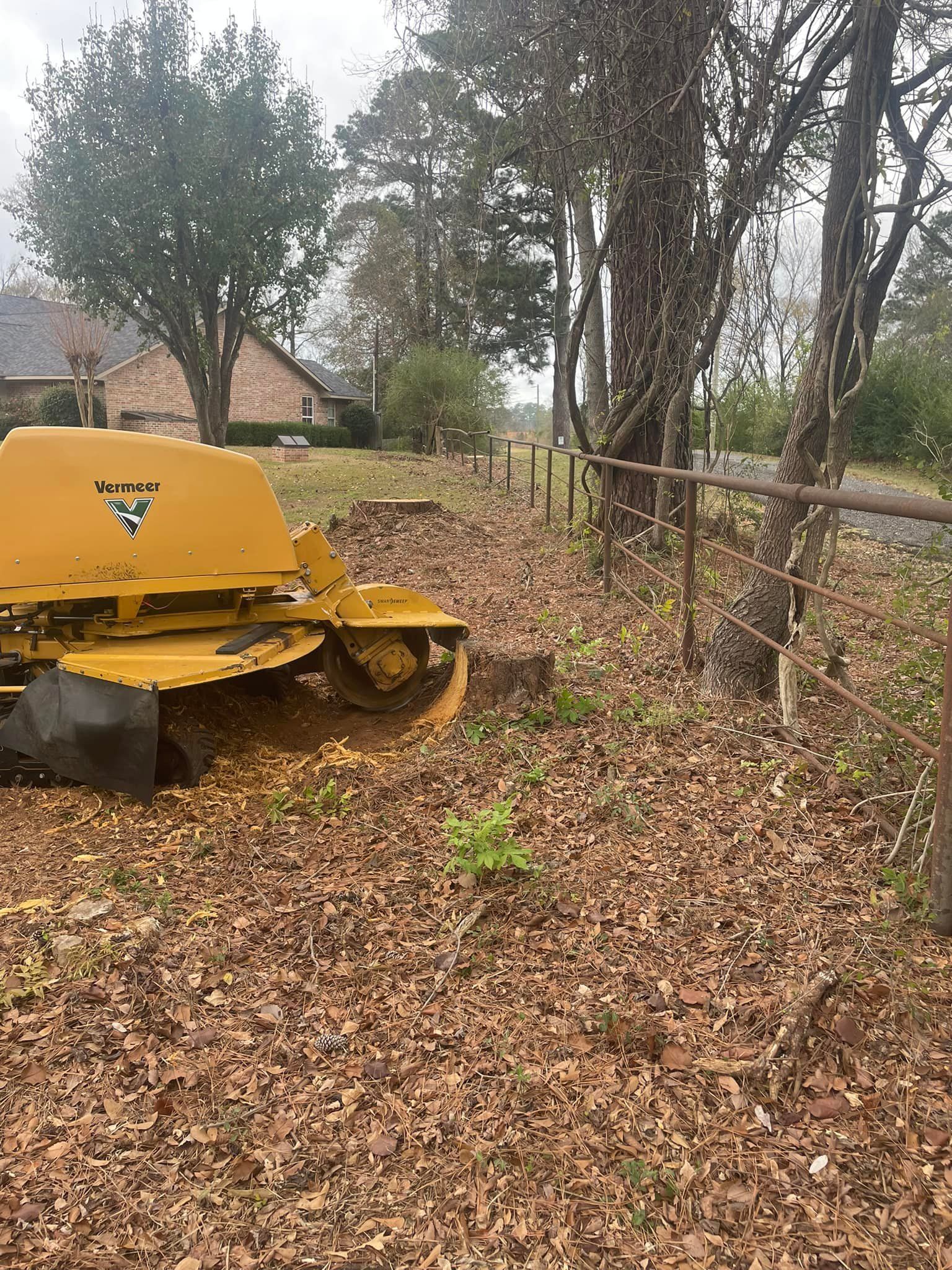 Yellow mower in a leaf-covered yard beside a fence and trees.