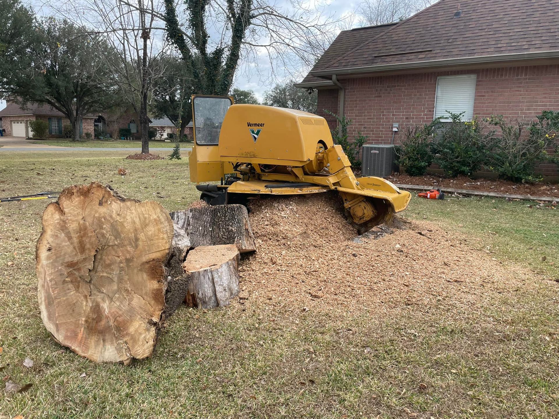 Yellow stump grinder beside a large tree stump in a yard near a brick house