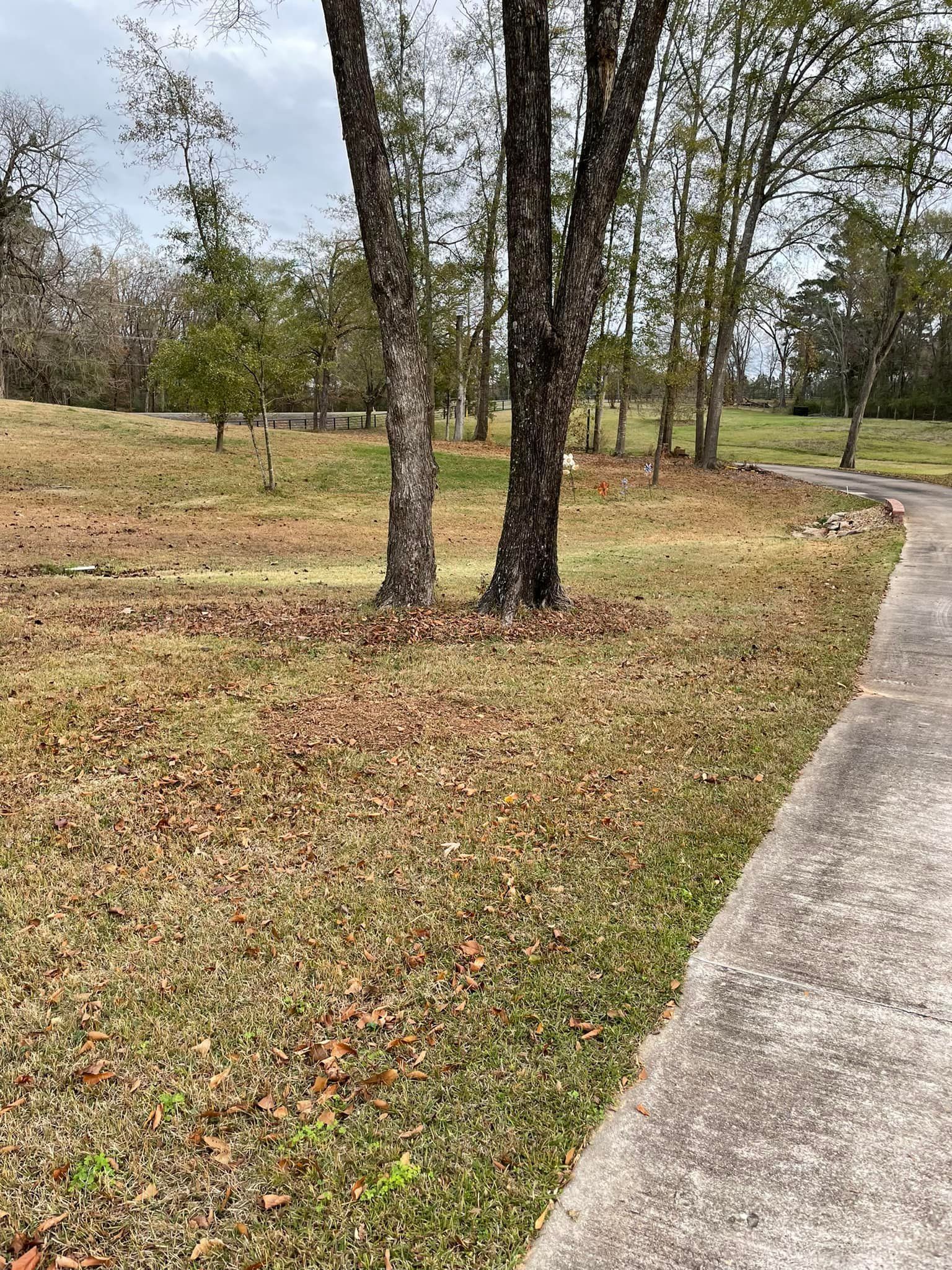 Trees and grassy field beside a curved concrete path in a park-like area