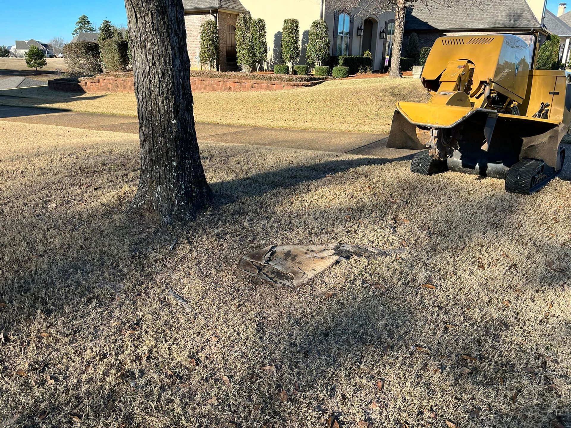 Yellow utility cart on a grassy yard near a tree and house in daylight