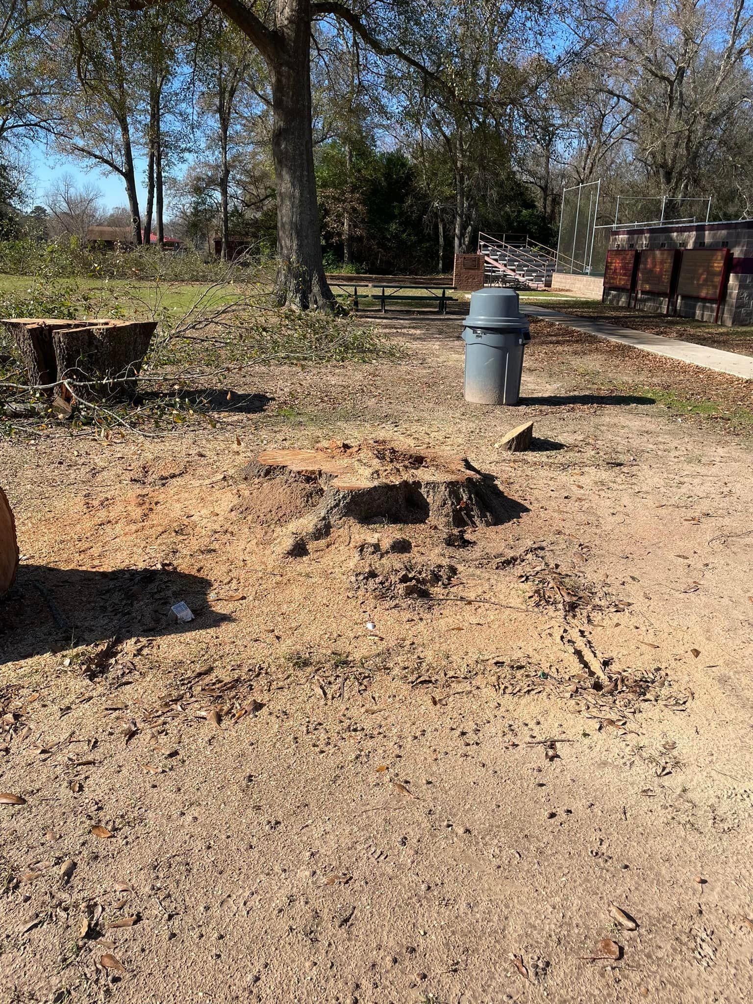 Backyard with a gray trash can, fire pit, and scattered leaves under trees