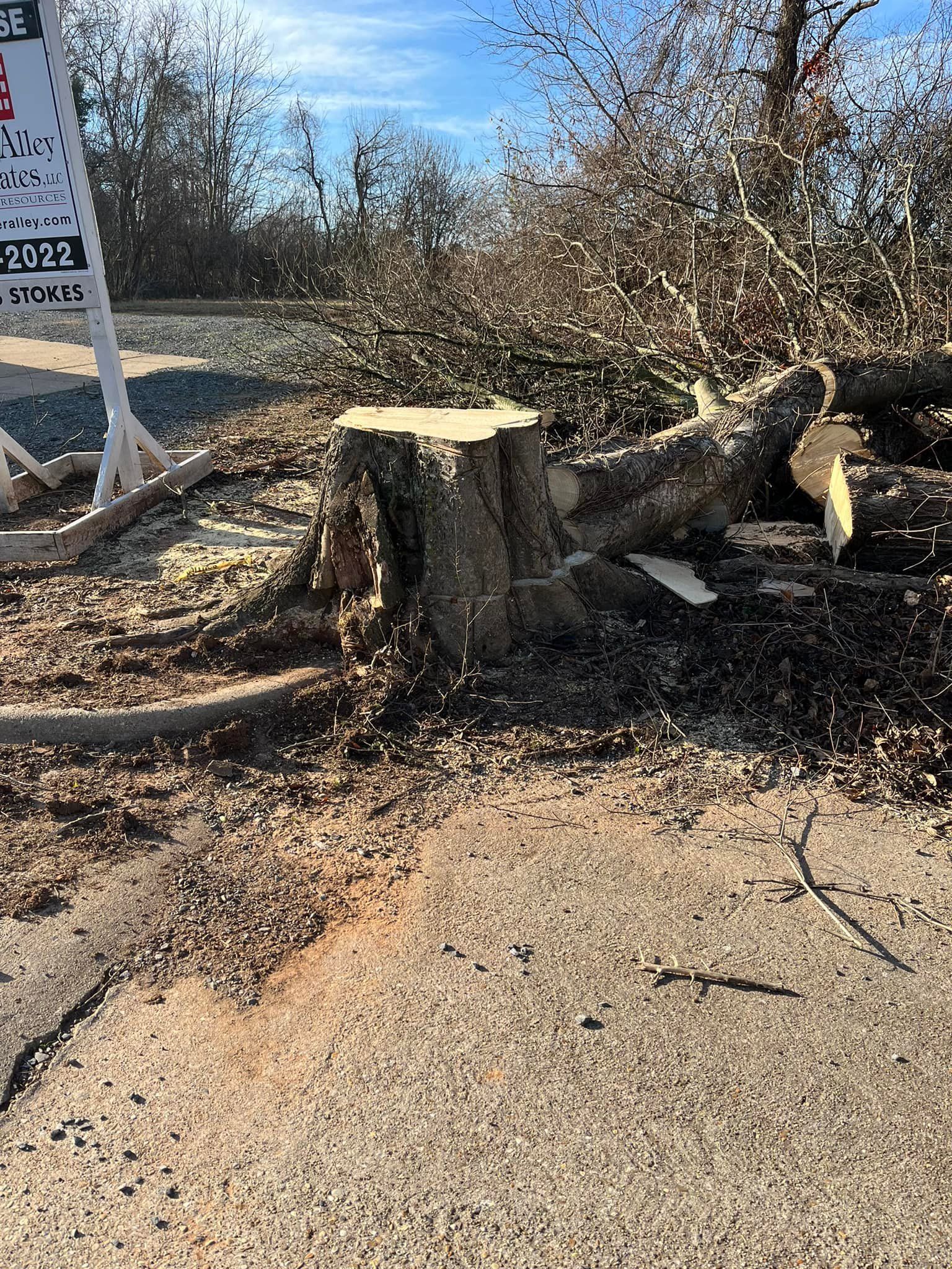Tree stumps and fallen branches beside a roadside in a wooded area, with a sign at left.