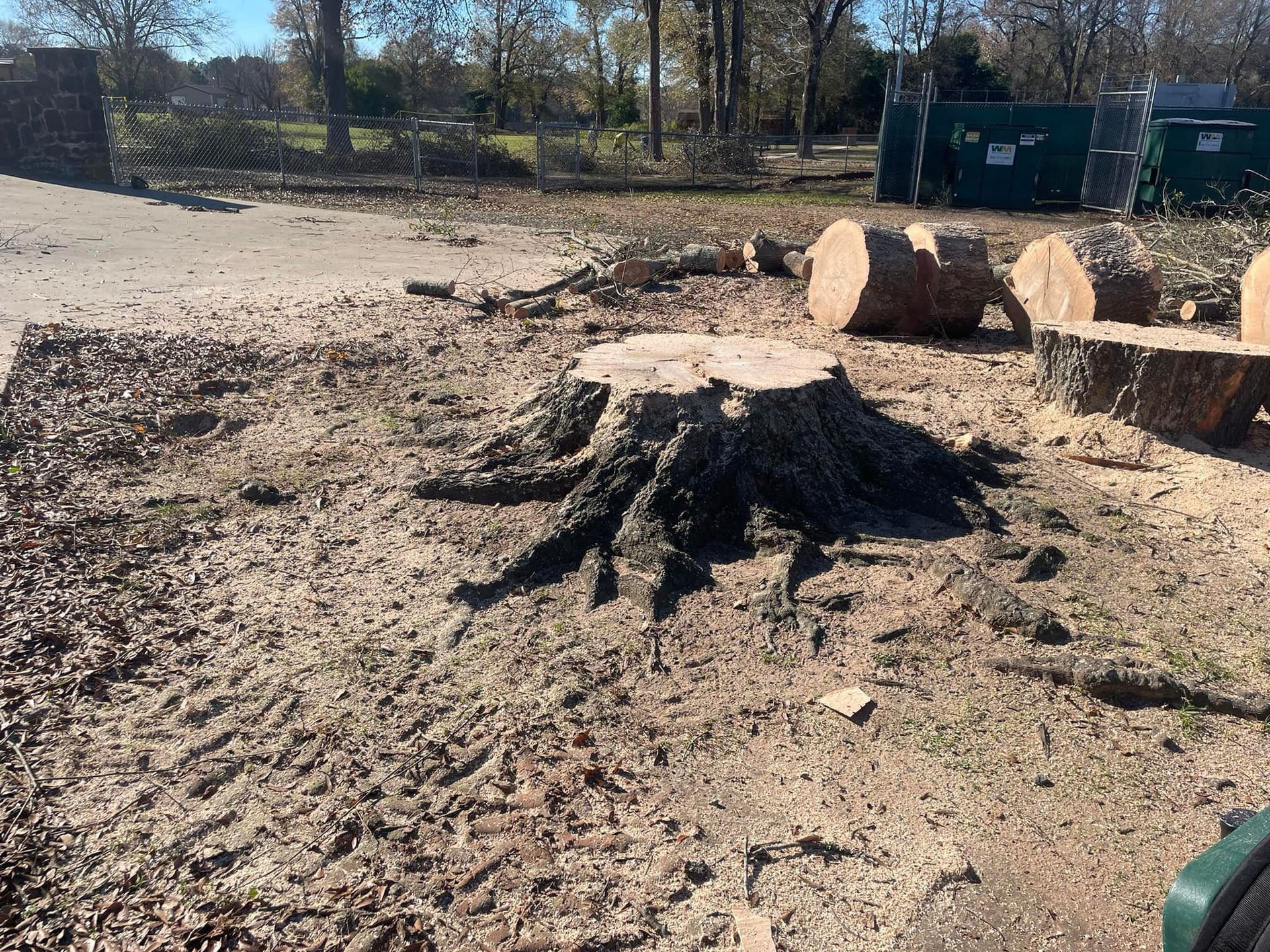 Burned tree stump and ash pile in a dirt clearing with cut logs nearby