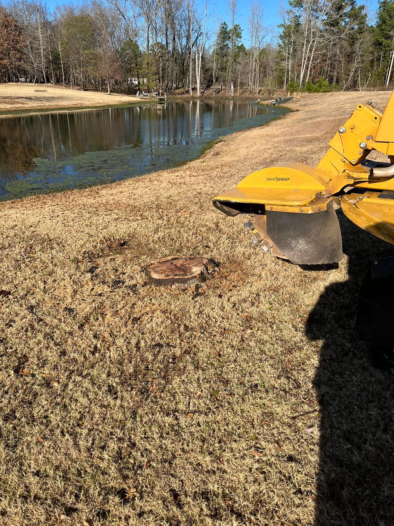 Yellow excavator bucket scooping leaves beside a pond in a wooded park