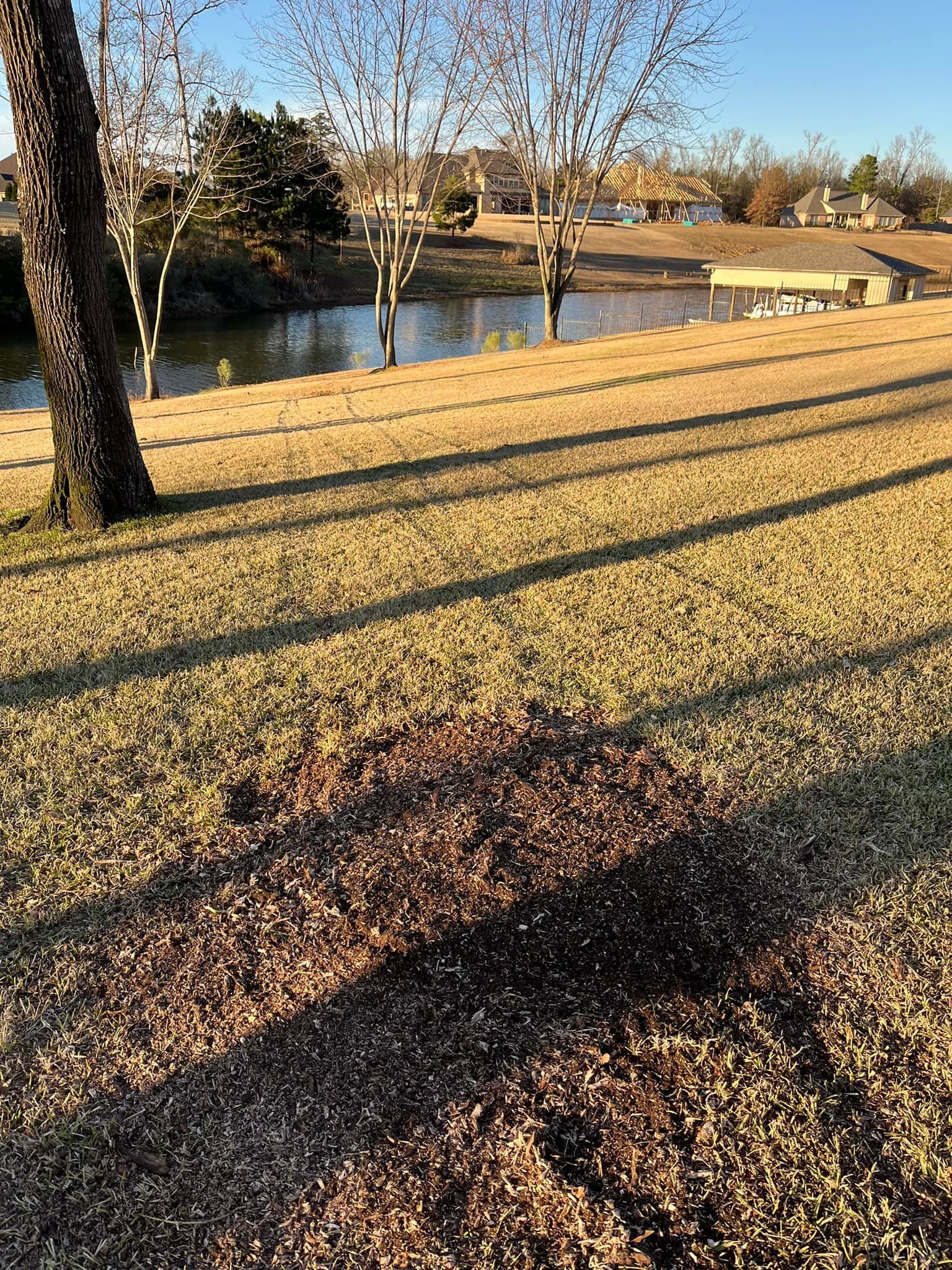 Sunny park with a pond, leaf-covered grass, bare trees, and long shadows in late afternoon.