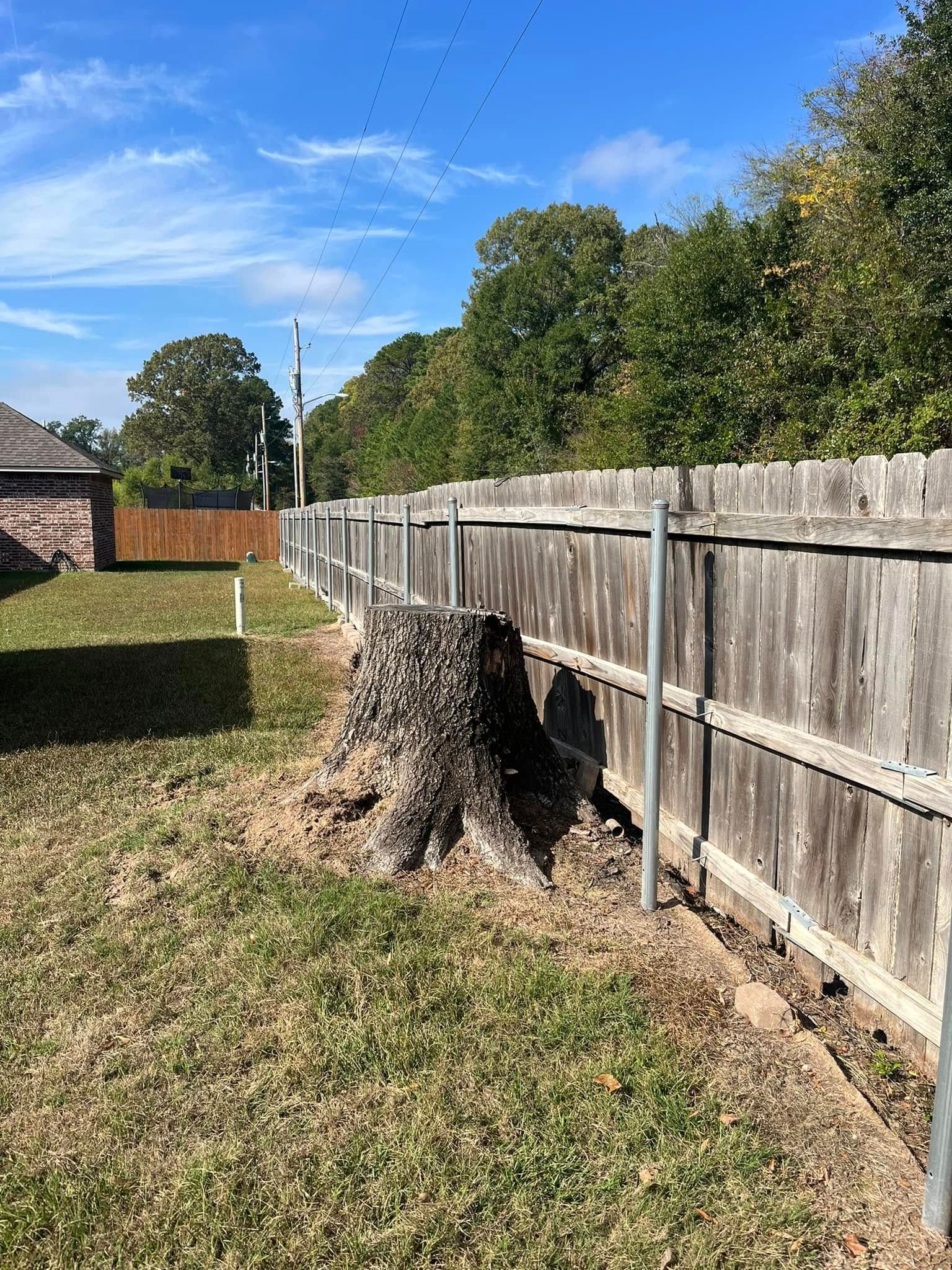 Backyard with wooden fence, tree stump, and grassy yard under a blue sky