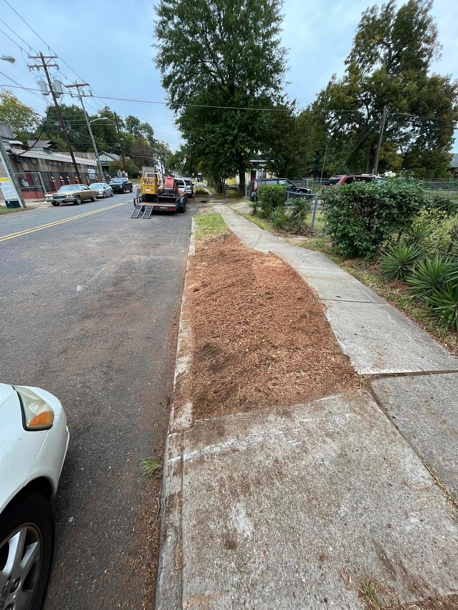 Tree-lined street with parked cars and a leaf-covered sidewalk beside the road
