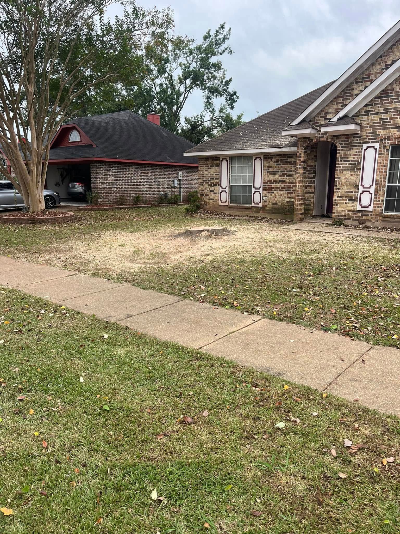 Suburban house with a brick front, detached garage, and a sidewalk covered in fallen leaves